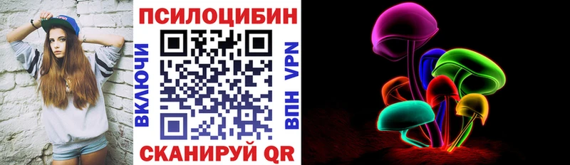 Псилоцибиновые грибы Cubensis  Заводоуковск 